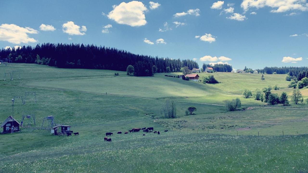 Daheim Im Hirschen Daire Schönwalde Dış mekan fotoğraf